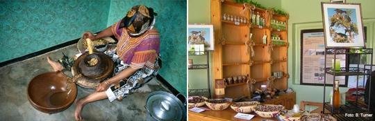 Traditional argan oil processing (2003, left), shop floor of an argan oil cooperative (2009, right)