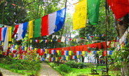 <p>Buddhism plays a big role in the religious landscape of Sikkim where such prayer flags are a common sight. These monochromatic flags are inscribed with prayers, mantras, or symbols. The colours represent the elements – fire, water, earth, air, space – of the physical body and environment. It is believed that the wind activates and carries the spiritual vibrations from the flags to the surroundings.<br /><br />Photo: Sudeshna Chaki, Khecheopalri Lake, Sikkim, India, 2014<br />Max Planck Institute for Social Anthropology</p>