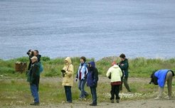 Arrival of the tourists as seen by the local