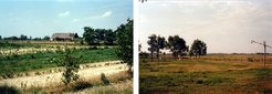 The Great Plain is an open, flat landscape; the fields in the picture on the left are among the most productive in the area; they were returned to private ownership recently, and the process was hotly contested. The sandy soils on the right are more typical.