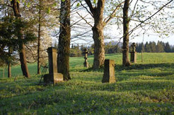 Abandoned Greek Catholic Cemetery, 2008.