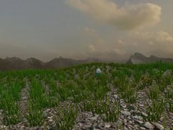 Screenshot des 'virtual environment', entworfen für das fMRT scanning (dritte Phase) im Rahmen der BRAINSCAPES Pilotstudie. Programmierung: D. Kostylev, 2012