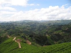 Landscape in north-western Rwanda.