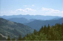Forests cover 70 percent of the central Rhodopelandscape.