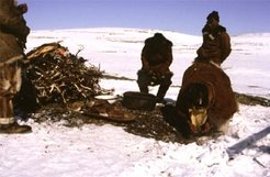 The spring festival (Kilvei) in the tundra. This ritual takes place behind the iaran'y (the tent covered with reindeer skins) and involves 'feeding' a mound built of willow branches mixed with the antlers that the female reindeer have lost after giving birth to young deer.