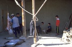 Well-off households are expected to donate a sheep during the Islamic qurban ayt. The meat will be distributed among the villagers.