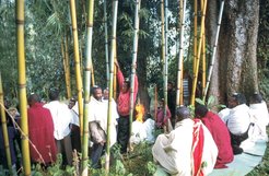 Annual Masqal fire when participants anoint their heads with butter.