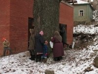 An Orthodox monk told the pilgrims that this tree gives positive energy, because it is full of the grace of God.