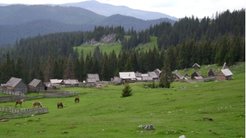 Summer hamlets on the top of the mountain facilitate forestry work