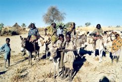 Young people from various villages in Dar Masalit.