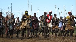 A set of colour-related oxen gathered before the charge