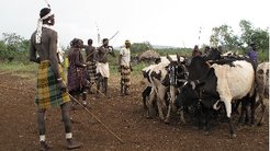 Young men and women running together in support for the man who is going to charge his oxen