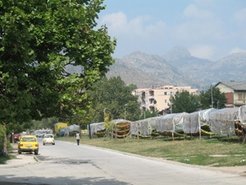 From July to October, tobacco leaves are drying in the sun in every empty urban space.