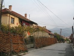 …then, place them out, hanging along the street.