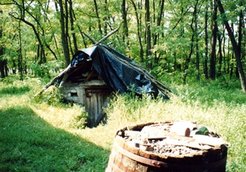 The primitive cellar of Sándor Horváth (above) could collapse at any moment while that of László Szilberhorn ( below, with certificates of some of the awards he has won for his wine) is the most modern in the village.