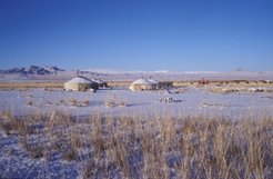 Starting in November, the plains in western Mongolia can be covered with snow. Winters are long and cold, and often claim a high toll among the herds.