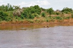 Some Kara elders cross the Omo to negotiate with their Nyangatom neighbours about access to the fertile banks of the river.