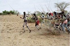 Kara of the Nyiramalay age-set ‘herd’ freshly initiated boys of the Ologuita age-set towards the village dancing-ground.