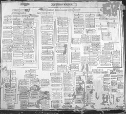Genealogies may be viewed as complex grids of identification and relation based on patrilineal kinship. The fact that they can be found on the walls of rural councils, like the one in the photo, indicates that for the Kyrgyz "the past is in the present" (M. Bloch, 1977). Village of Döbölüü, oblast' of Naryn, Kyrgyzstan 2003.
