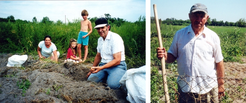 Sándor Dúl (ex-Party Secretary) and his family (left) in the potato field of Ferenc Gregus, August 2001.
