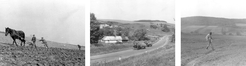 While the villagers of Tázlár were using modern technology in the 1970s (combine harvesters, hired either from the cooperative or privately), those in Wislok tended to rely on more traditional methods.