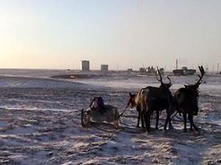 Gas-exploitation proceeds even to northern reindeer herding territories. Recently, the native population therefore started to register for their land rights to assure continued access to pastures.