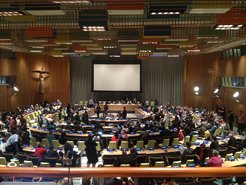 UN Permanent Forum on Indigenous Issues (UNPFII)