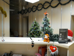 Reception desk at the hostel during the New Year's holidays.