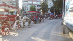 Nostalgic horse carriages for tours during Ramadan.
