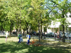 Workfare recipients sweeping the first leaves of the Autumn.