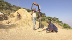 Abraham with his sons on the threshing ground