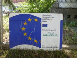 Many family businesses in Kiskunhalas have benefited from significant funding thanks to Hungary's membership of the European Union (in this case a winery that was originally constructed for a socialist State Farm receieved assistance even before formal admission in 2004).