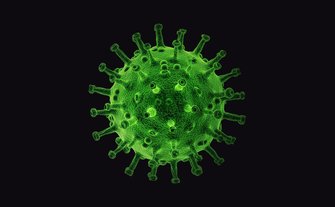 Coronavirus Context
