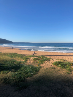The coast of Australia