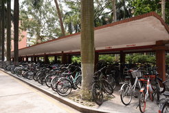 Figure 2. Old-style bicycle shed.