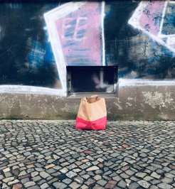 Delivery bag (2022).