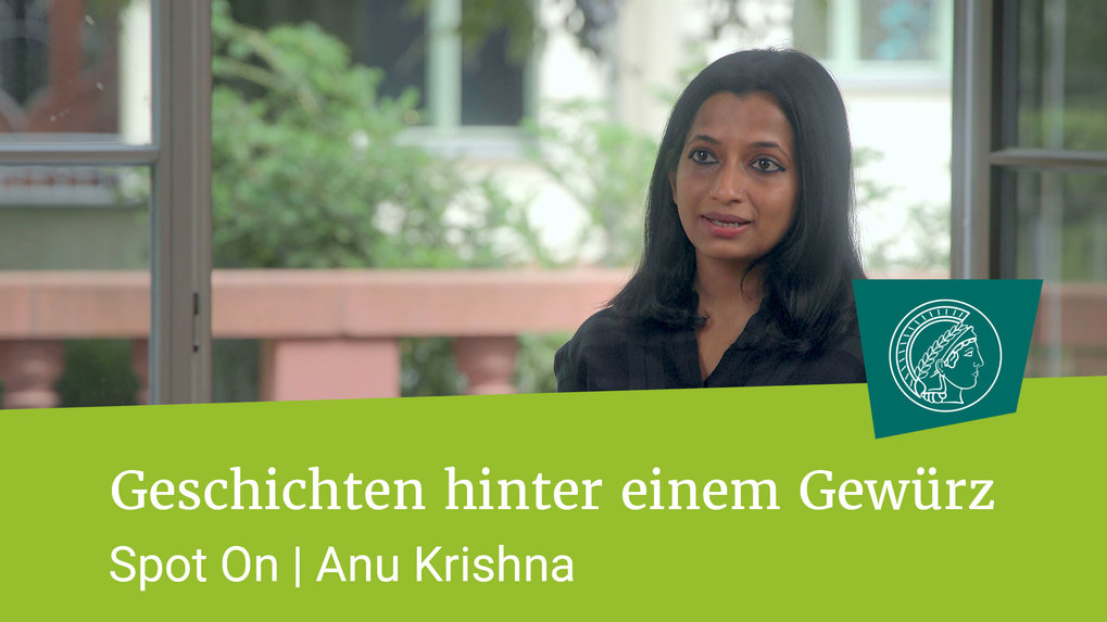 Anu Krishna über Verflechtungen von Kaste und Geschlecht bei der Herstellung von indischem Kardamom