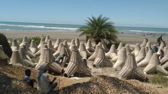 Shoreline fortification in Bangladesh, photo by Javed Kaisar