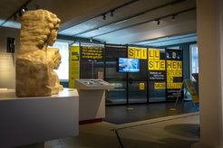 Noch bis 6. Juli 2025 im Stadtmuseum zu sehen: Die Ausstellung „Still stehen“